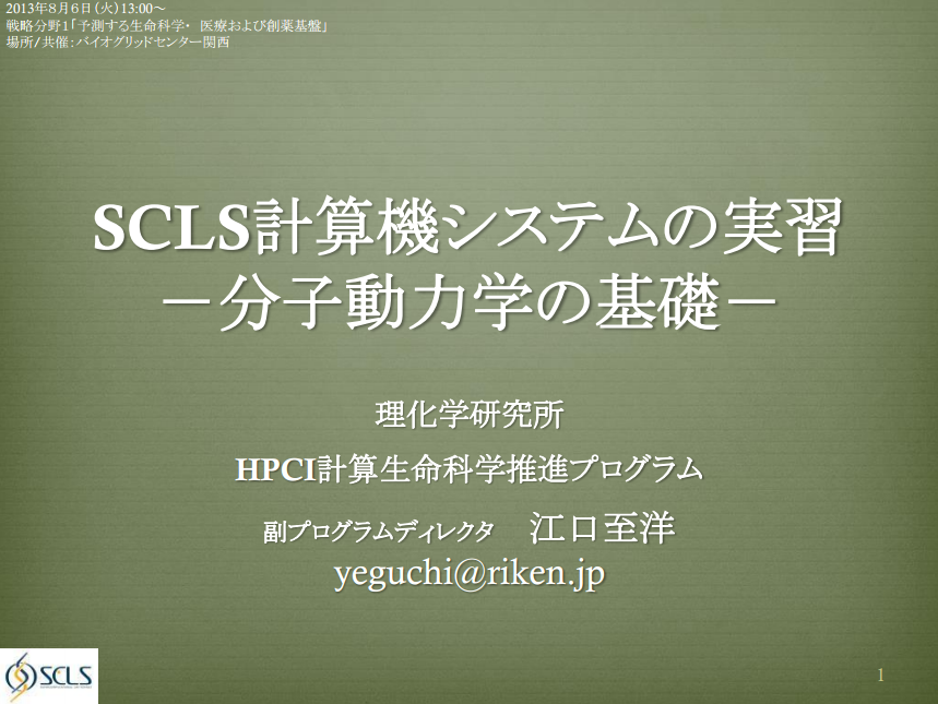 SCLS講習会‐SCLS計算機システムの実習‐分子動力学の基礎‐